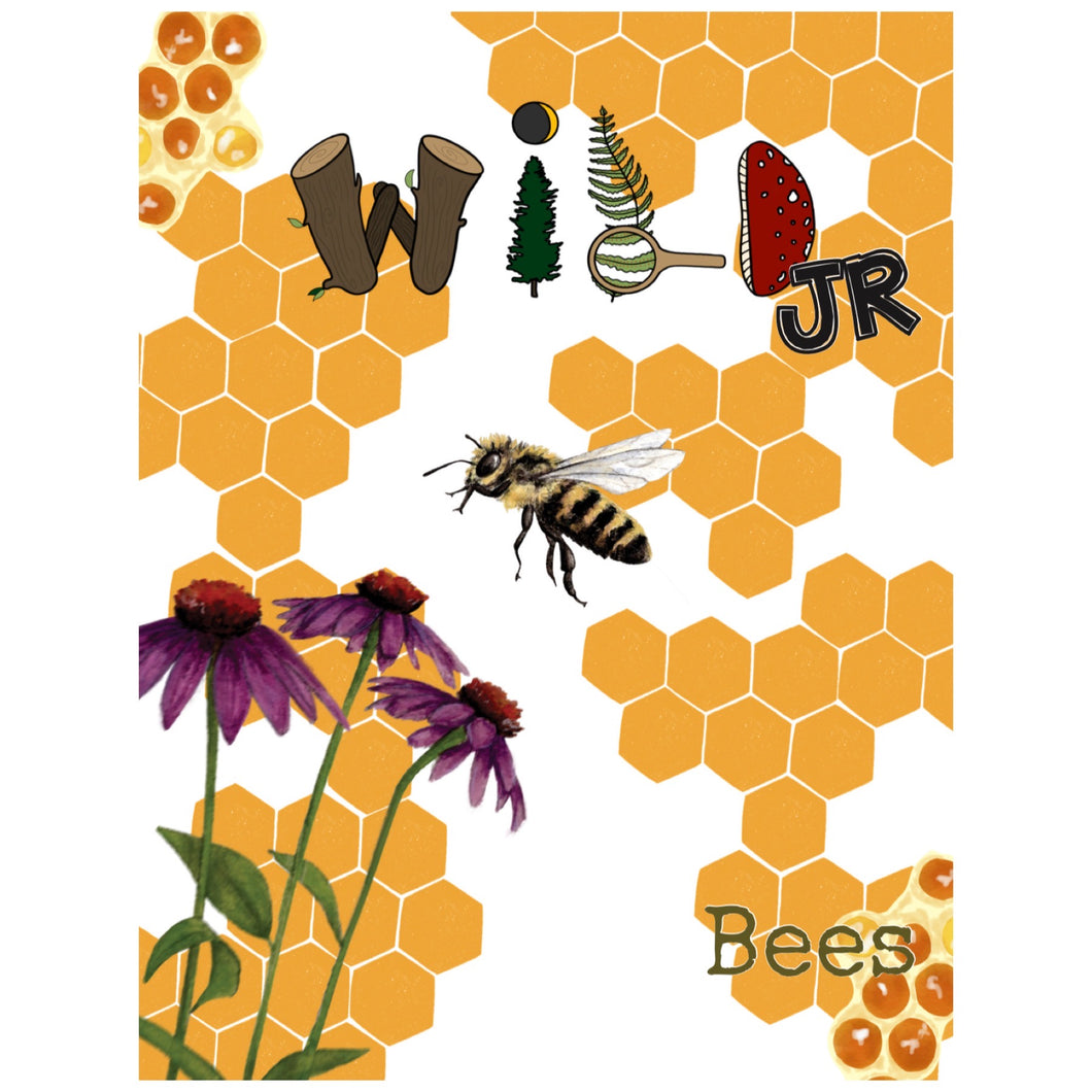 WILD Mag Jr. - Bees