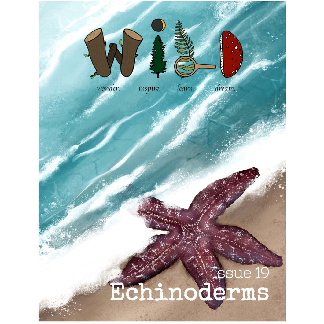 WILD Mag Issue 19 - Echinoderms