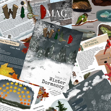 WILD Mag Issue 23 - Winter Dormancy