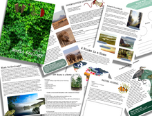 WILD Mag Issue 41: World Ecology