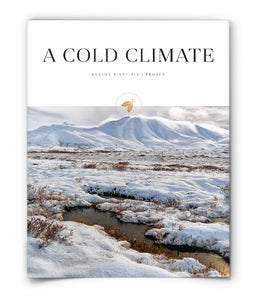 A Cold Climate