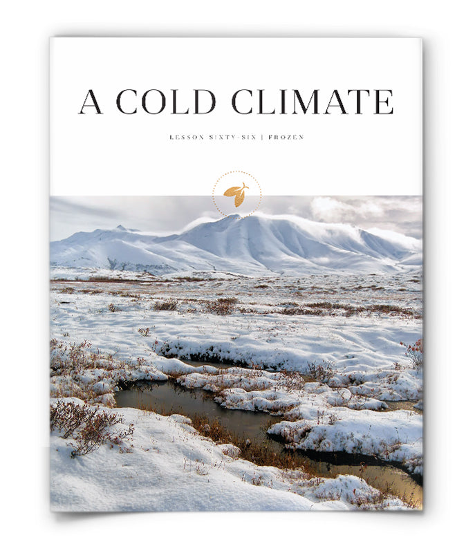 A Cold Climate