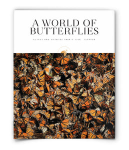 A World of Butterflies