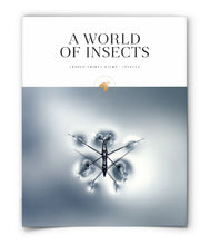 A World of Insects
