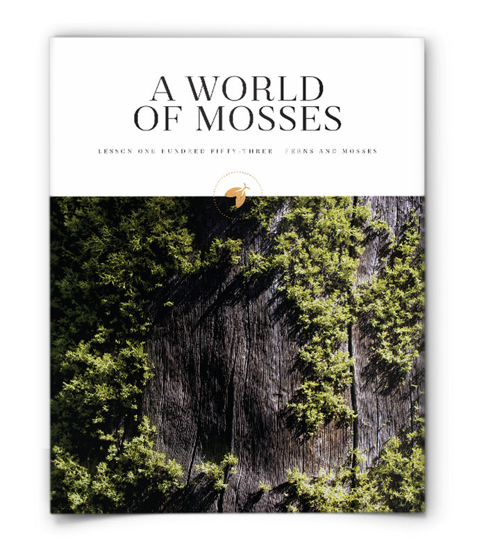 A World of Mosses