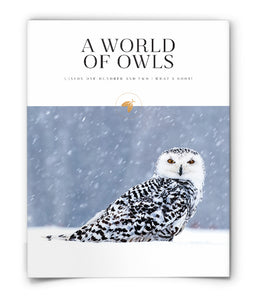 A World of Owls