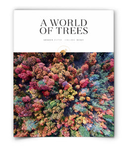 A World of Trees