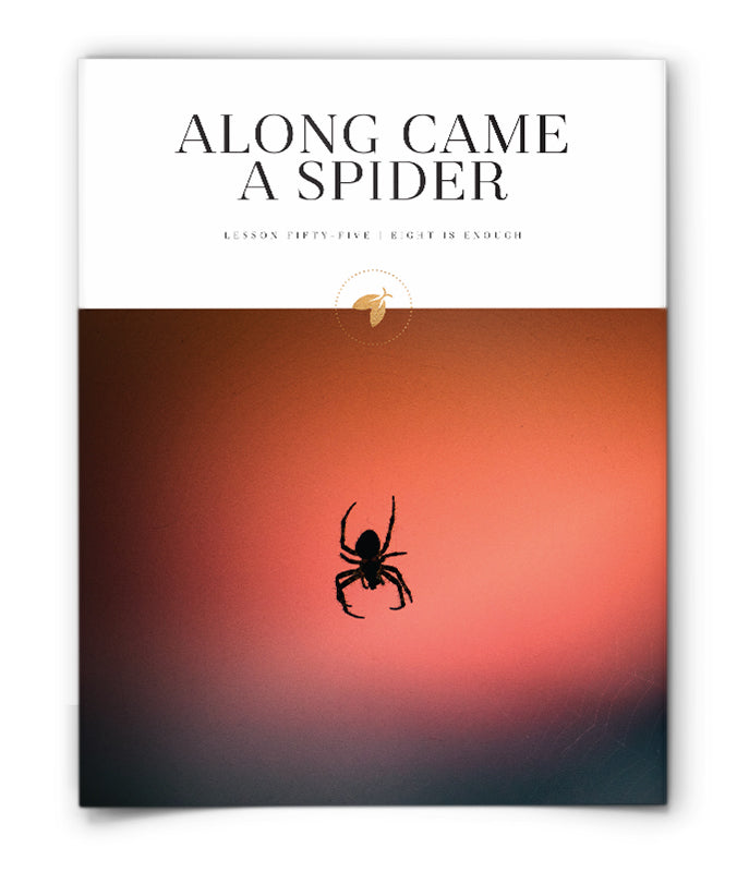 Along Came a Spider