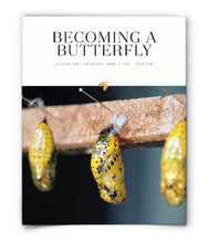 Becoming a Butterfly