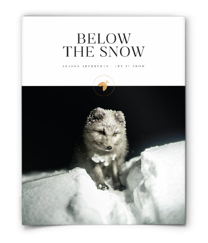 Below the Snow