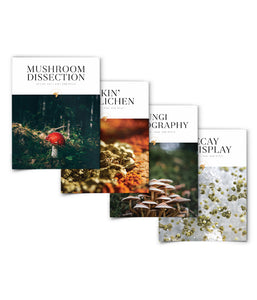Fall for Fungi Bundle