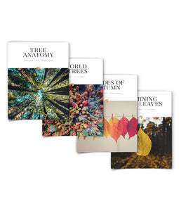 Falling Down Bundle
