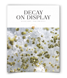 Decay on Display