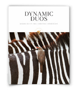 Dynamic Duos