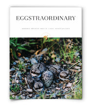 EGGStraordinary