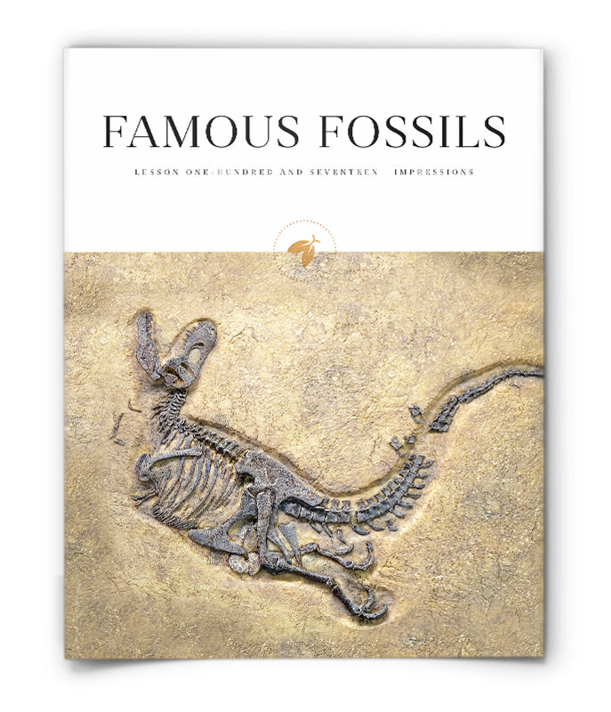 Famous Fossils