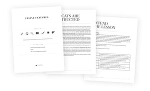 Feline Features