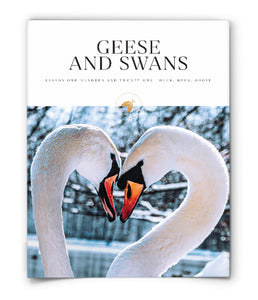Geese and Swans