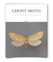 Ghost Moth