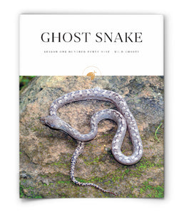 Ghost Snake