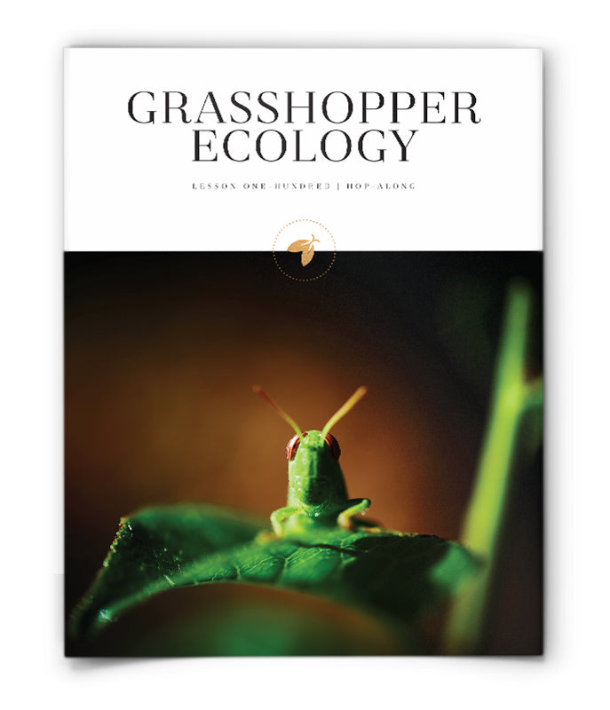 Grasshopper Ecology