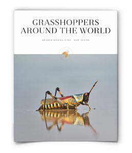 Grasshoppers Around the World