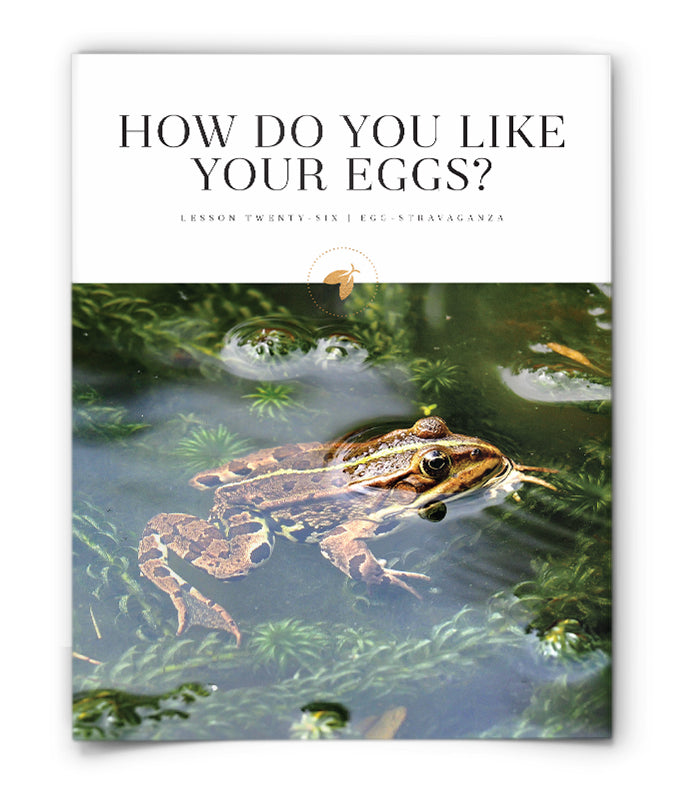 How Do You Like Your Eggs?