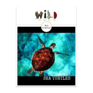 WILD Mag Issue 5 - Sea Turtles