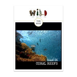 WILD Mag Issue 6 - The Reef