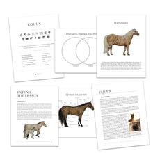 Equus