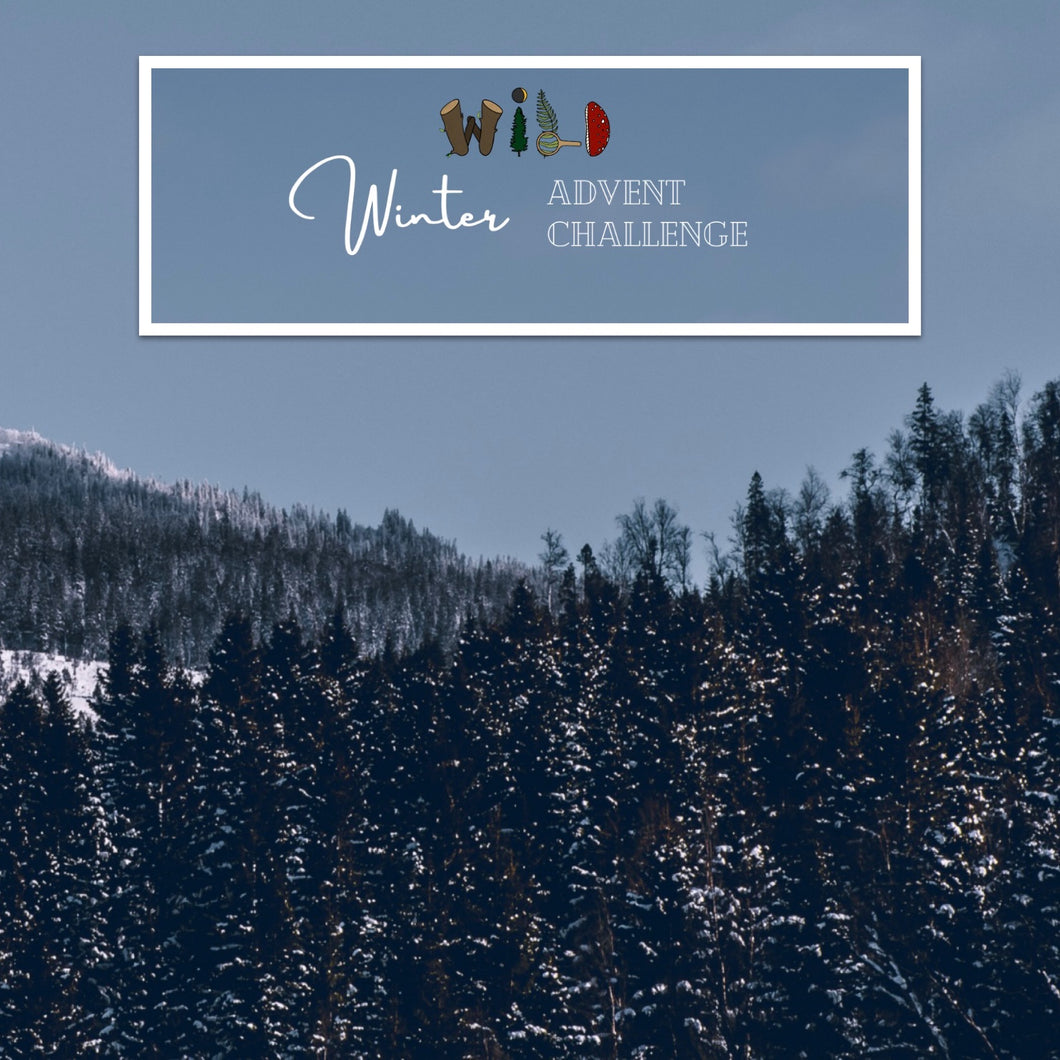 FREE WILD Advent Challenge