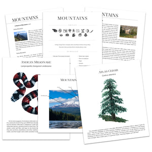 Mountains