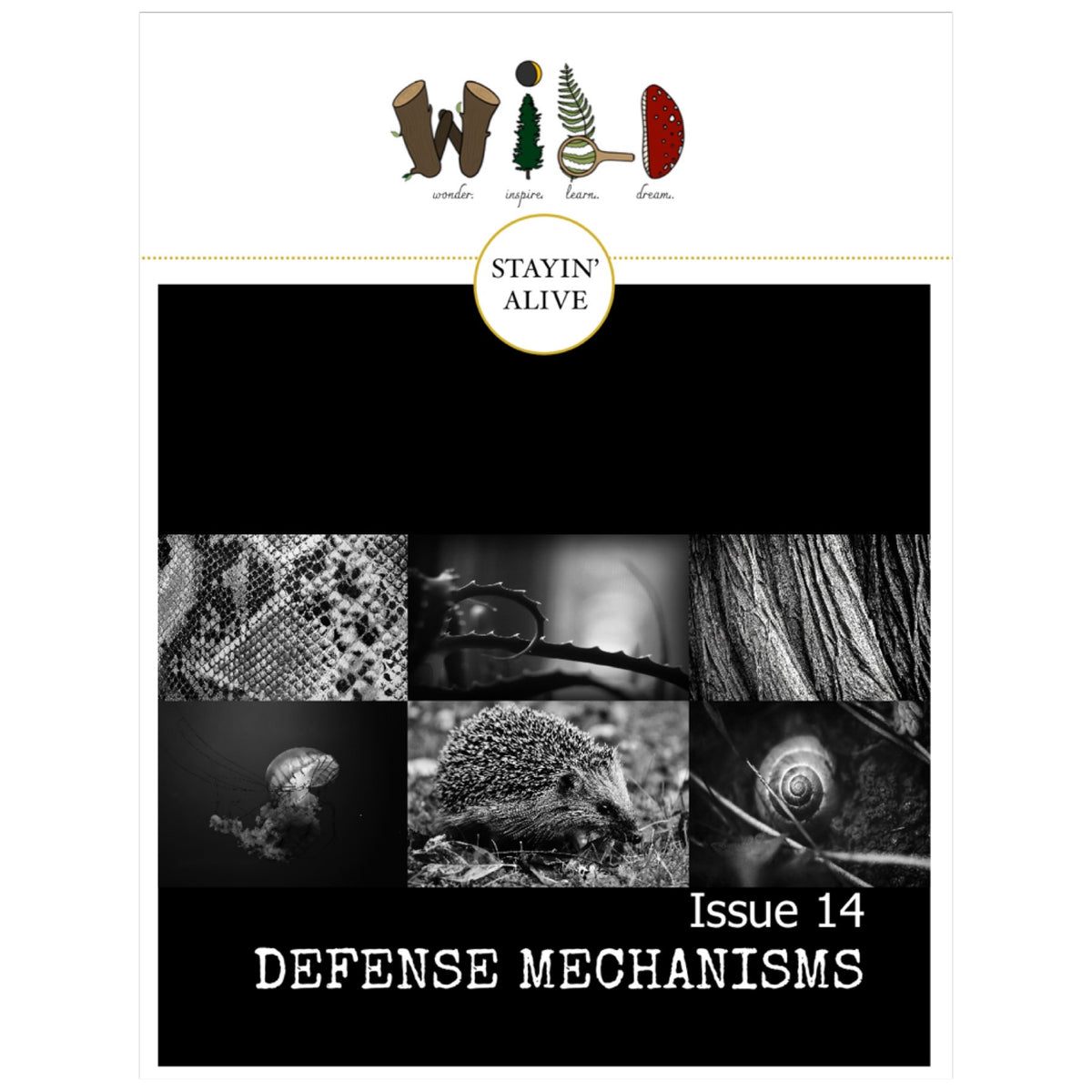 Wild Magazine Computer Science WILD Mag Issue 14 - Defense Mechanisms – Firefly Nature School