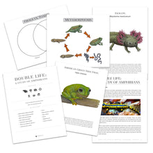 Double Life: A Study of Amphibians
