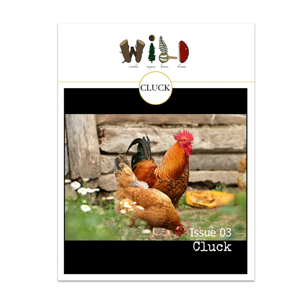 WILD Mag Issue 3 - Cluck