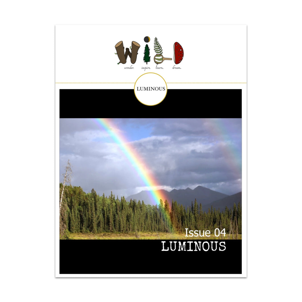 WILD Mag Issue 4 - Luminous