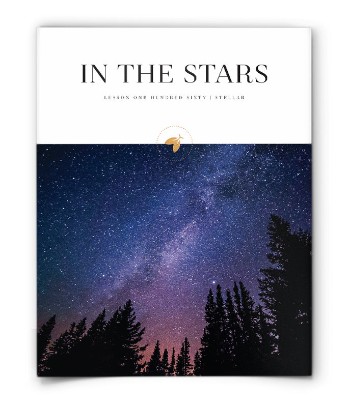 In The Stars