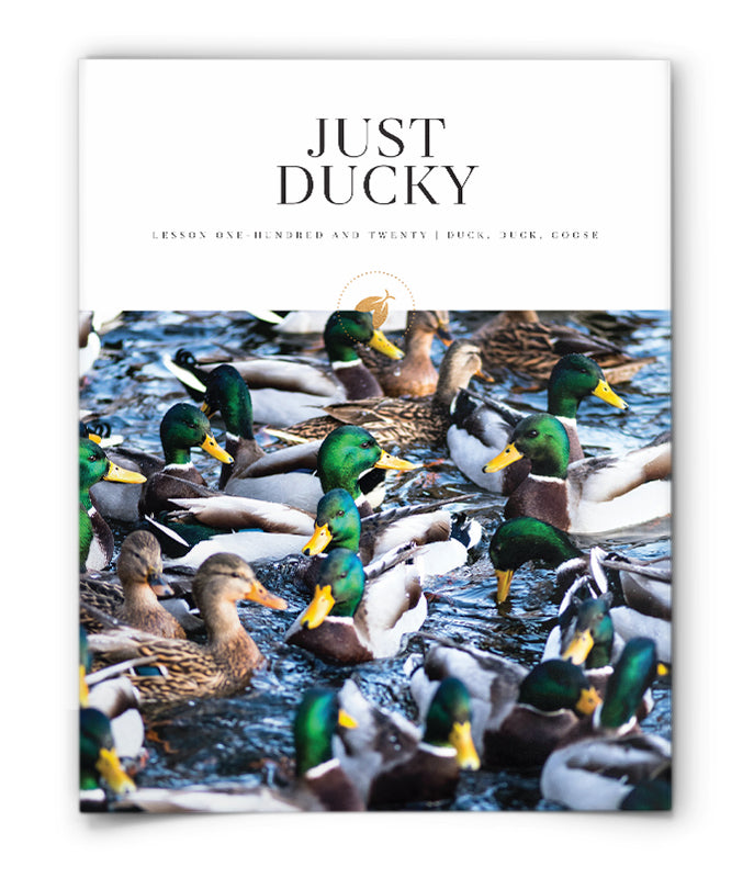 Just Ducky