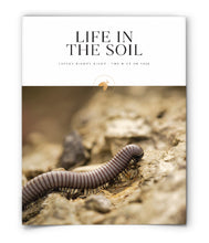 Life in the Soil