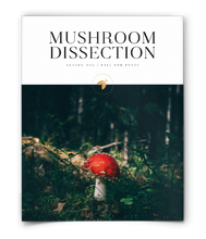 Mushroom Dissection