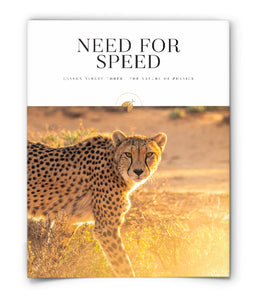 Need for Speed
