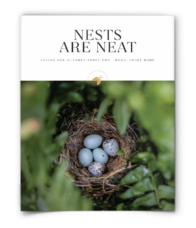 Nests Are Neat