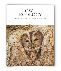 Owl Ecology