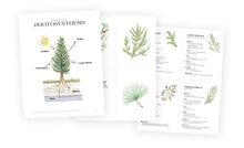 What's It Mean to Be Evergreen?