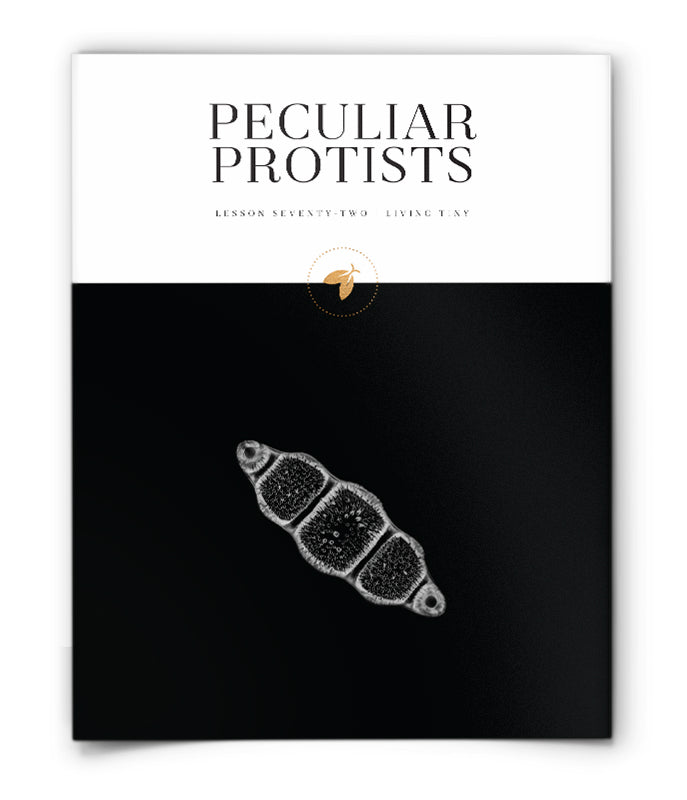 Peculiar Protists