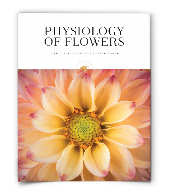 Physiology of Flowers