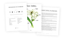Physiology of Flowers