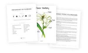 Physiology of Flowers