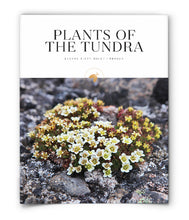 Plants of the Tundra