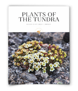 Plants of the Tundra